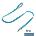 blue leash