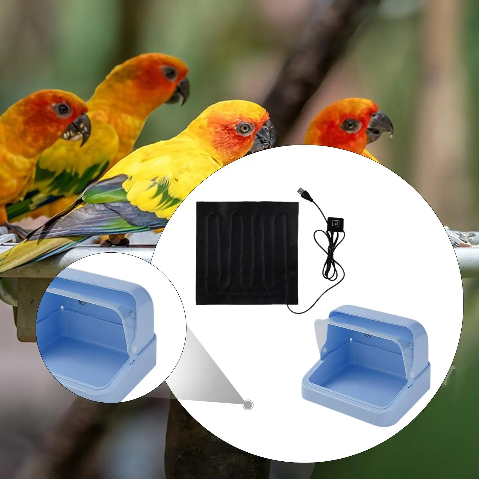 Chick Brooder, Chick Incubator Brooding Box, Bird Incubator Brooding Box for Ducklings