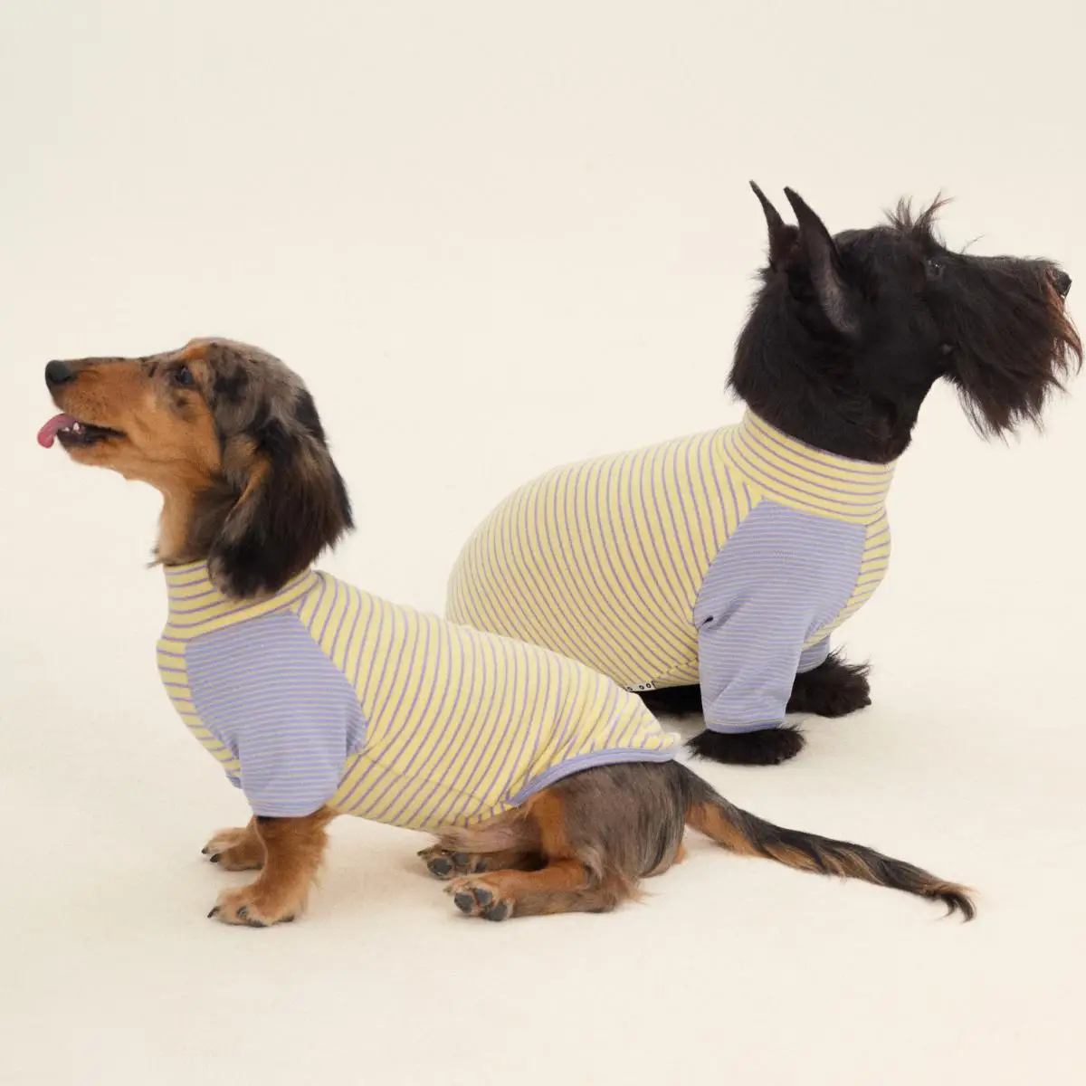 Ropa para perros Dachshund de 2 patas a rayas, suéter elástico cálido para ropa para perros Wiener, disfraces para perros de invierno y primavera para salchichas - imagen 2