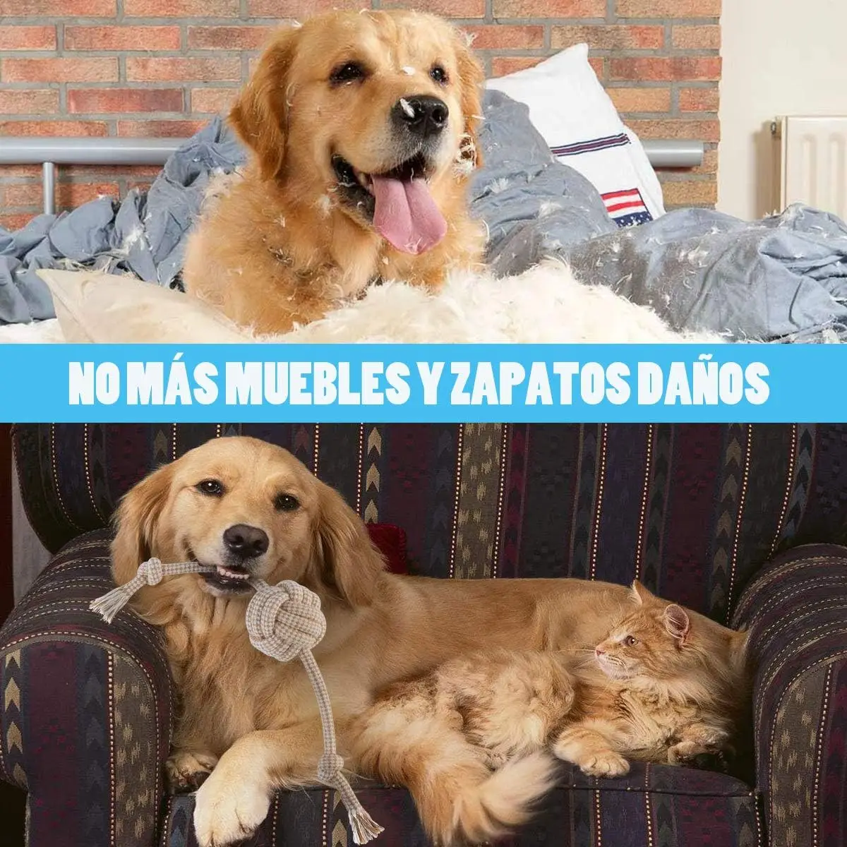 Juguete para morder con cuerda de algodón, nudos: gatos y perros - imagen 4