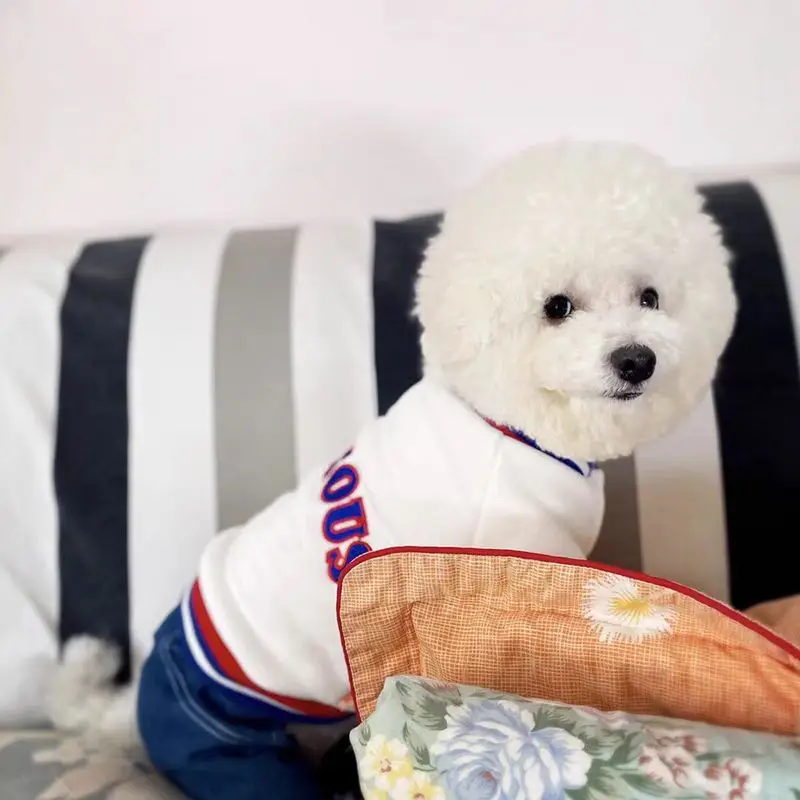 Chaqueta de béisbol de otoño/invierno para mascotas, chaqueta de peluche gruesa de invierno de cuatro patas para perros de tamaño mediano, chaqueta de peluche para perros pequeños - imagen 2