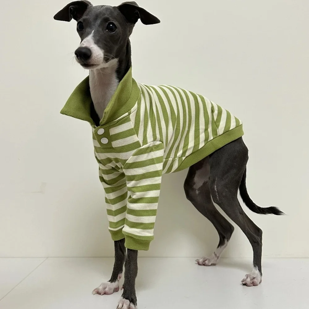 Camisa polo verde a rayas para perros Bedlington e Italian Greyhound - imagen 4