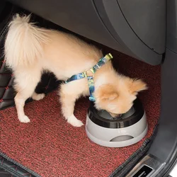Bebedero portátil anti-salpicaduras para gatos y perros - práctico