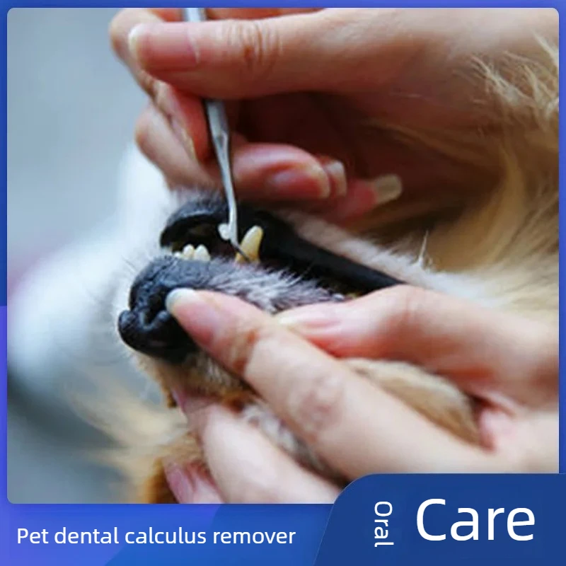 Kit de limpieza dental para perros: elimina sarro y mal aliento - imagen 2