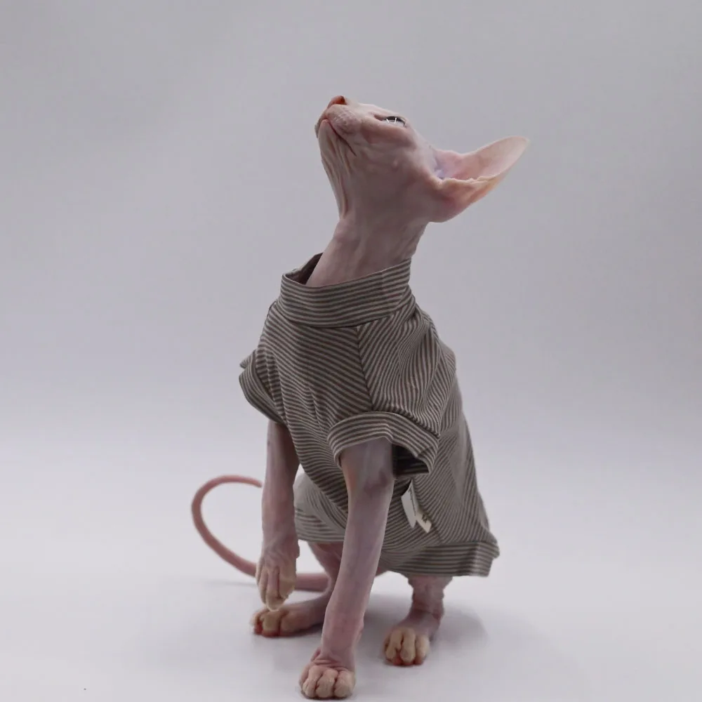 Chaleco de algodón a la moda para gatos Sphynx, ropa de manga corta a rayas marrones para gatitos, abrigo suave para disfraz Devon Rex, primavera y verano - imagen 2