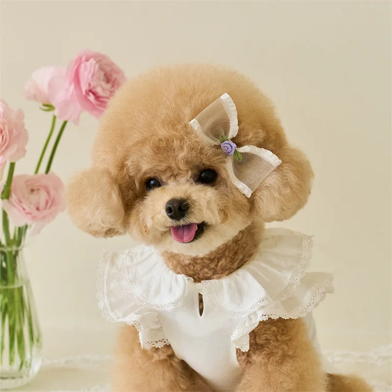 Vestido de verano para mascotas Ins, falda de manga voladora de encaje, camisa inferior de peluche, camiseta para gatos, ropa para cachorros, ropa para perros pequeños - imagen 3