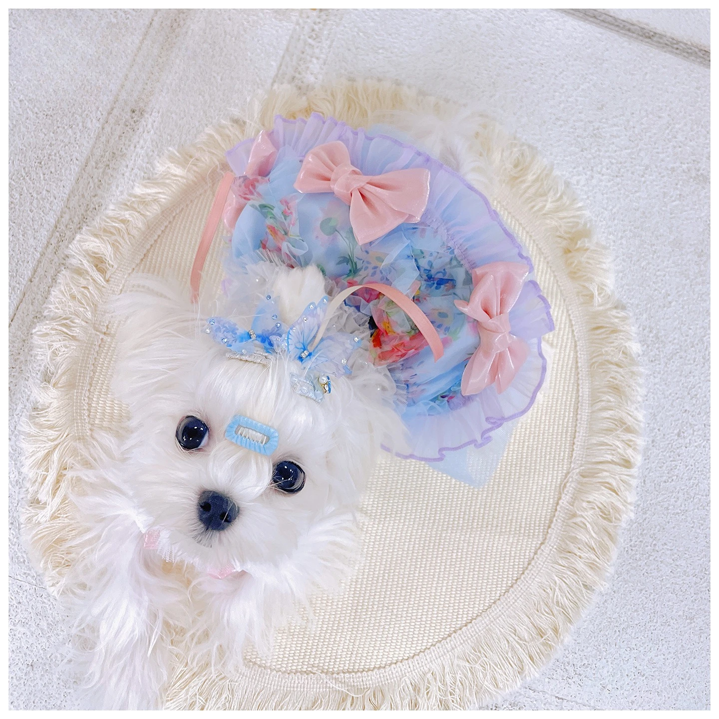 Falda princesa malla esponjosa con lazo para perros pequeños Yorkshire - imagen 2