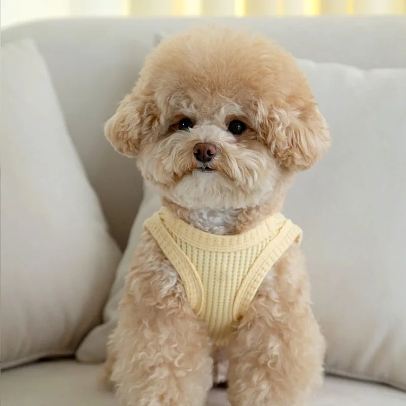 Camiseta sin mangas de gofre de verano con corte de oso para mascotas, Top fino de manga corta con empalme de oso, camiseta sin mangas transpirable, ropa para cachorros de peluche para perros pequeños - imagen 2