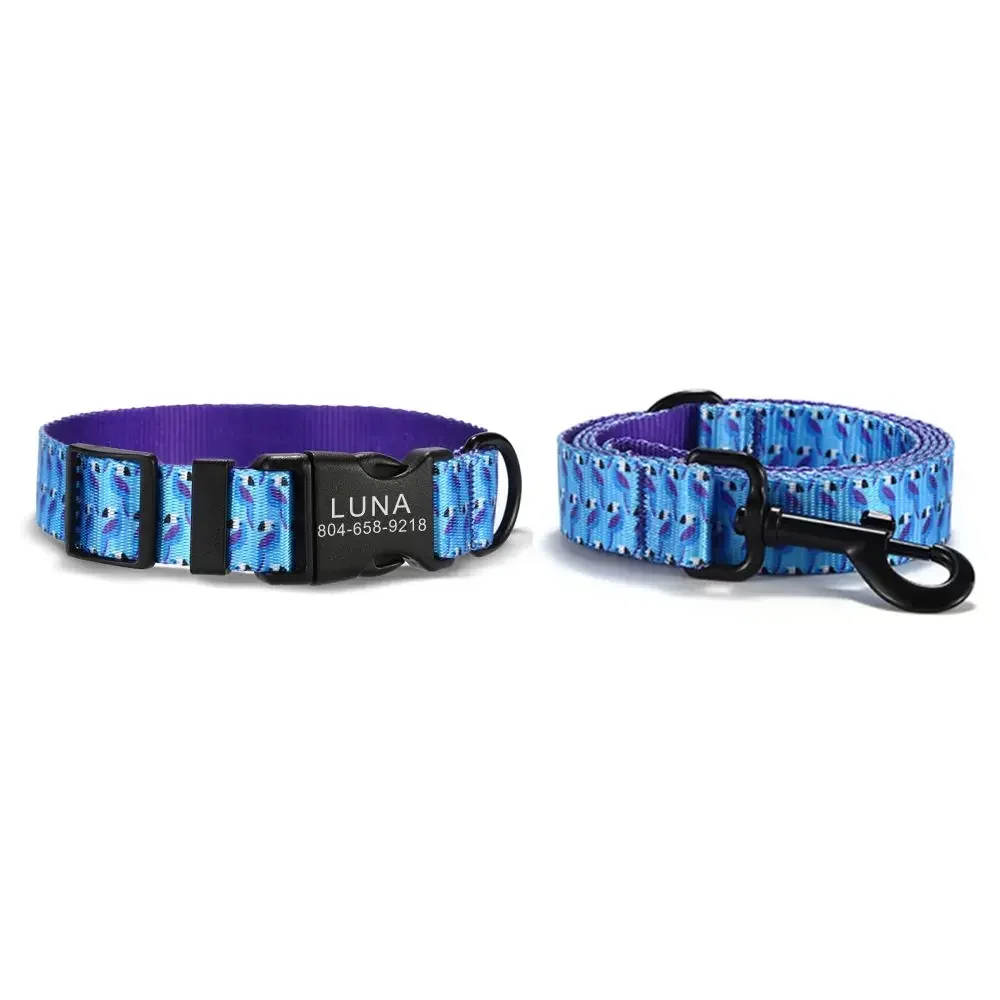 Collar de perro personalizado con grabado gratuito, correa para mascotas a juego, hebilla de contactos personalizados, Collar para mascota de gato loro azul