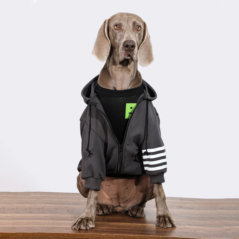 Primavera fuera de perro grande Sudadera con capucha perro primavera ocio traje Golden Retriever Labrador trajes disfraz de moda para perros medianos y grandes - imagen 3