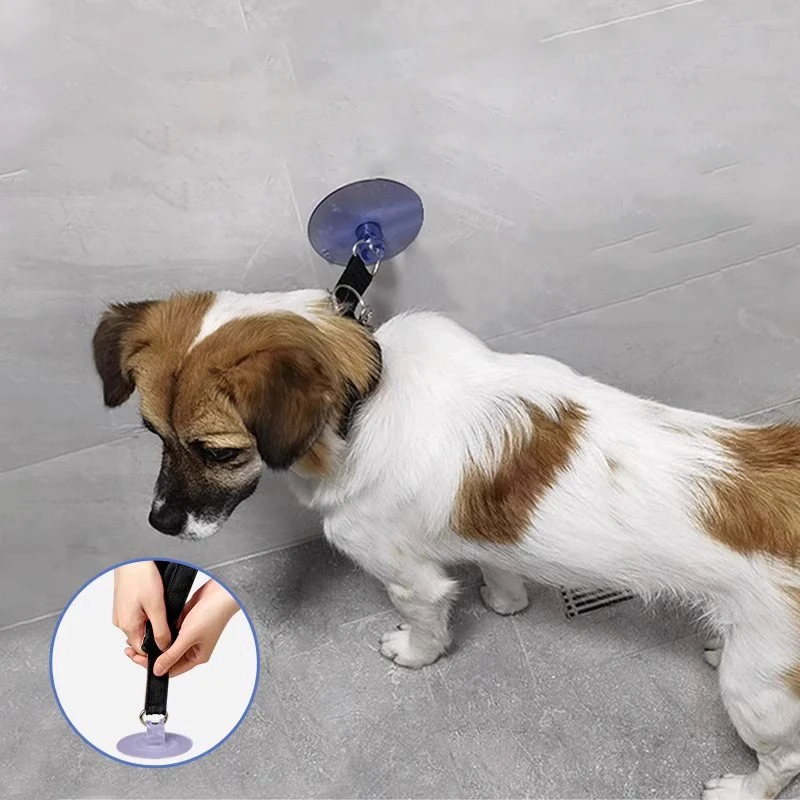 Collar ajustable con ventosa para bañar gatos y perros pequeños - imagen 4