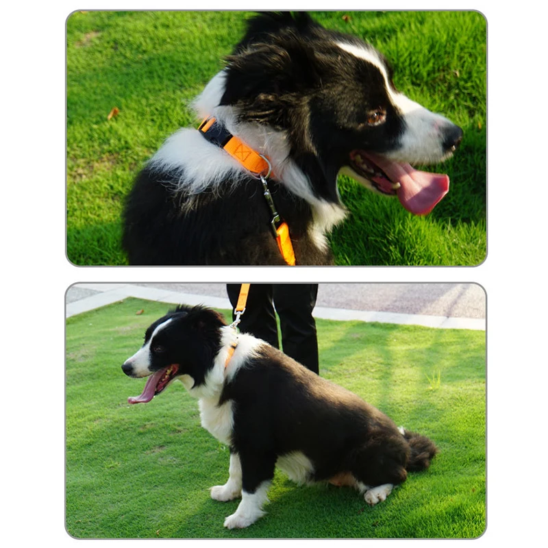 Collar de nailon personalizado para perro, etiqueta de identificación personalizada para gato, grabado personalizado, accesorios de acero inoxidable, antipérdida para perro grande - imagen 5