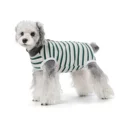 gray stripes