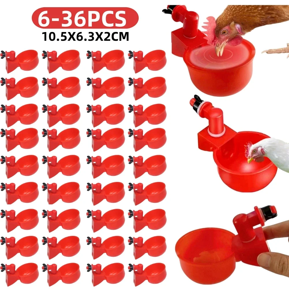 Bebedero automático para gallinas y patos de corral - imagen 5