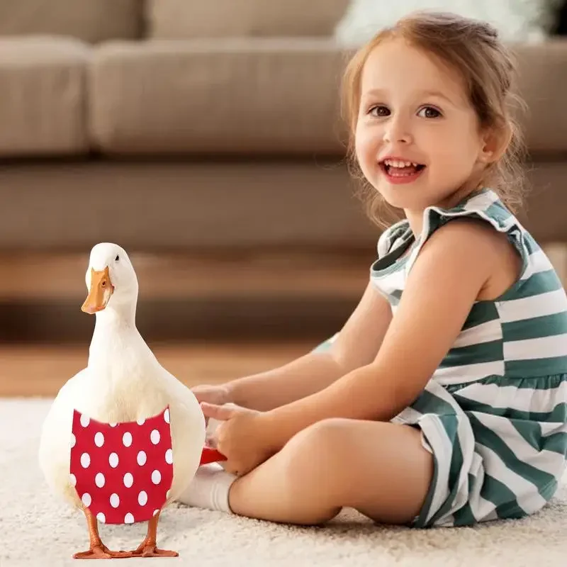 Pañales elásticos para aves de compañía