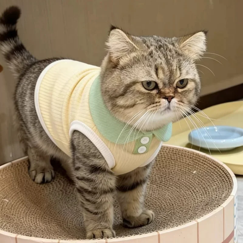 Camiseta a rayas para perro pequeño y gato – Ropa de verano ligera