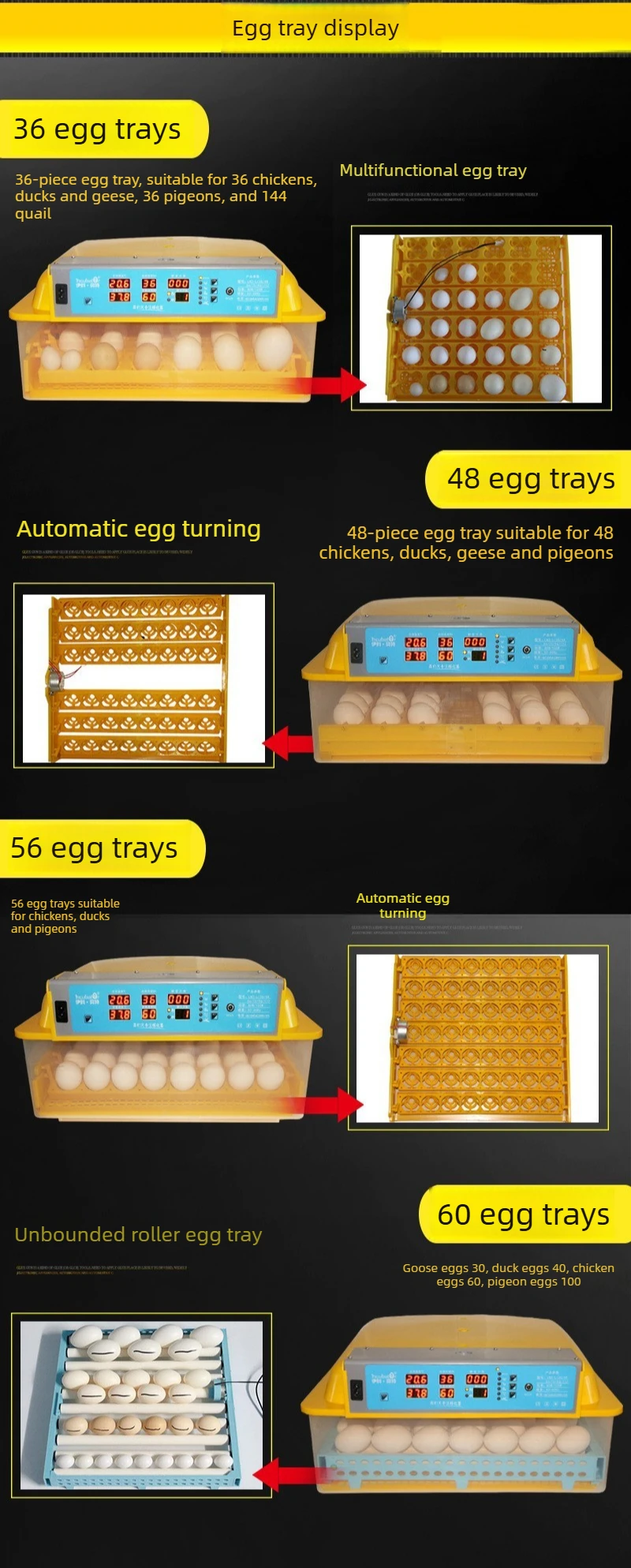 Interior de la incubadora con huevos en proceso
