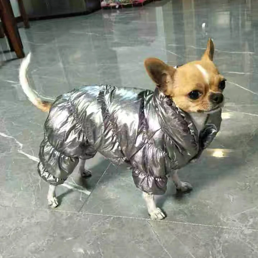 Chien vetement - versatilidad