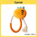 Carrot
