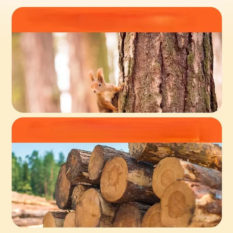 Bite Resistant Pet Dog Chew Toys Molar Teeth Clean Stick Interesting Pine Wood Cute Bone Shape Durable Pet Accessories - imagen 5