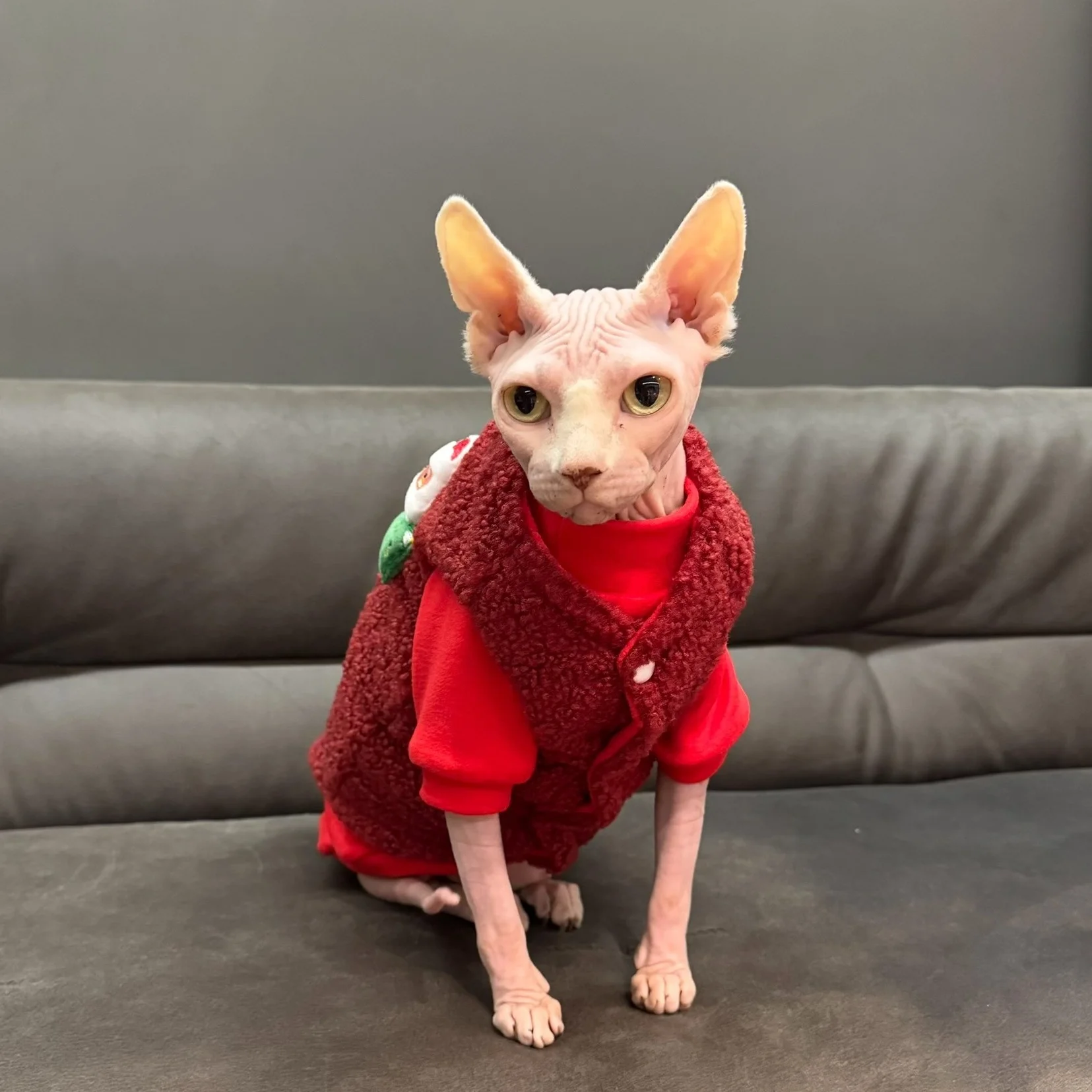 Chaleco polar rojo invierno para gatos Sphynx y Devon Rex – Térmico - imagen 2