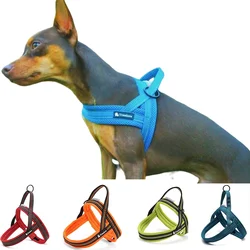 Arnés seguridad coche para perro pequeño y cachorro – Chaleco suave acolchado