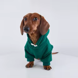 Chaqueta forro polar con capucha perros Dachshund, pequeños y medianos