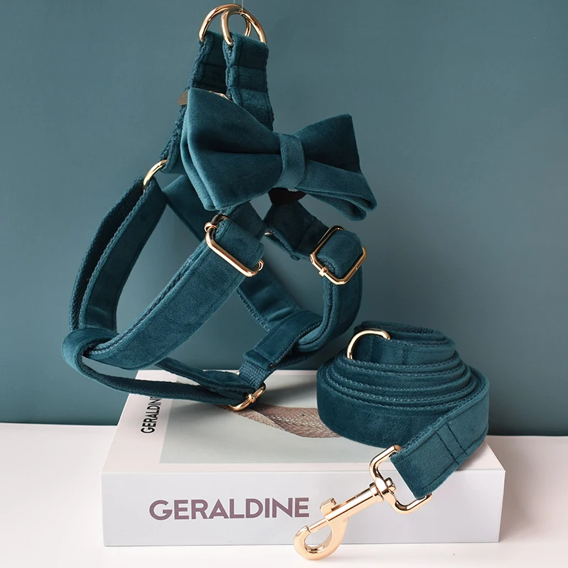 Collares de identificación personalizados para perro, LOGO grabado gratis para perros pequeños, medianos y grandes, franela americana Cocker Spaniel 30 - imagen 5