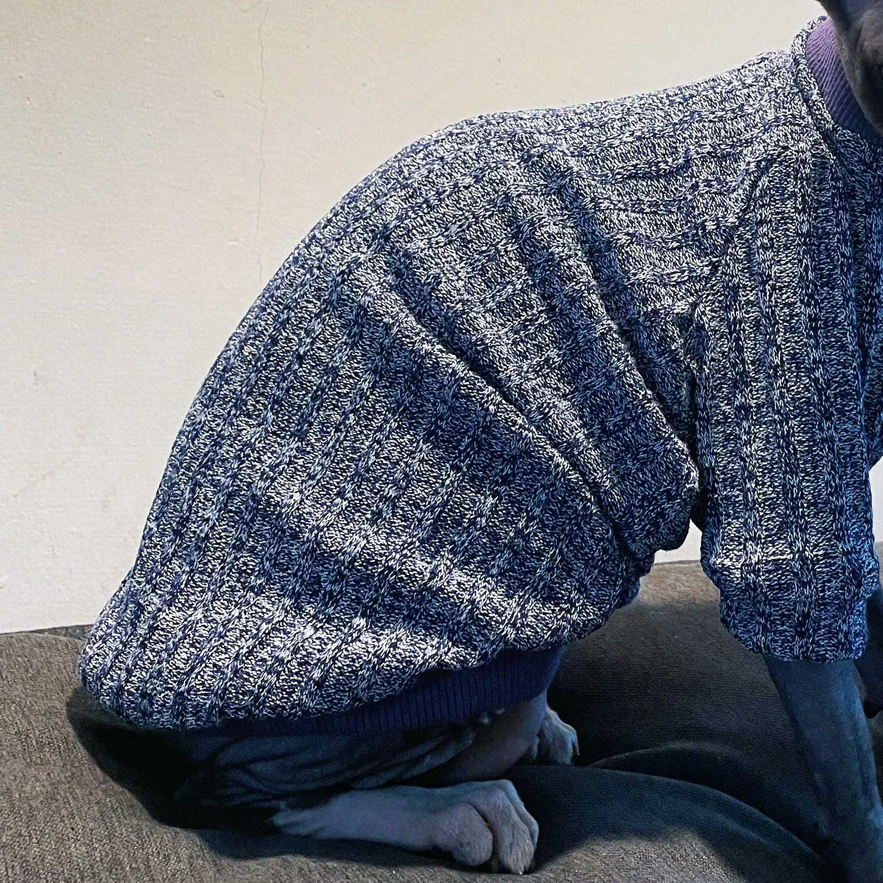 Suéter de cuello alto para gato sin pelo en invierno, ropa cálida de manga larga tejida a mano para gato Sphynx, abrigo azul de otoño para gatitos - imagen 4