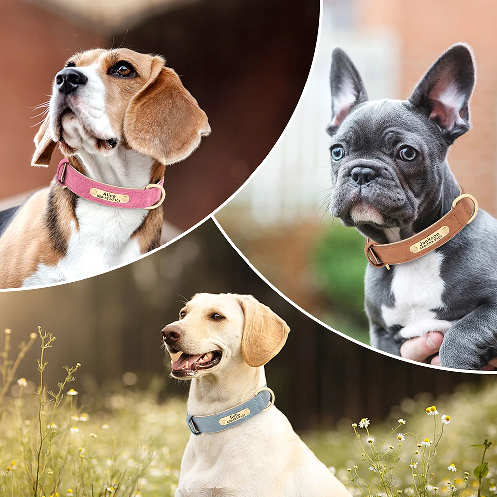 Collar de cuero con placa grabada para perro – Nombre personalizado - imagen 2