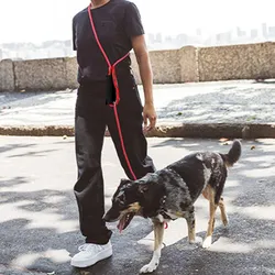 Correa manos libres para perro reflectante e impermeable-paseo cómodo