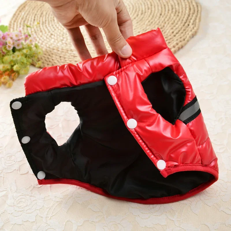 Chaqueta cálida de invierno para perros pequeños y medianos, chaqueta de nieve impermeable a prueba de viento para perros y gatos, ropa para cachorros y mascotas