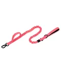Pink Leash
