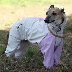 Chaqueta ligera impermeable para galgos y whippets - Transpirable verano