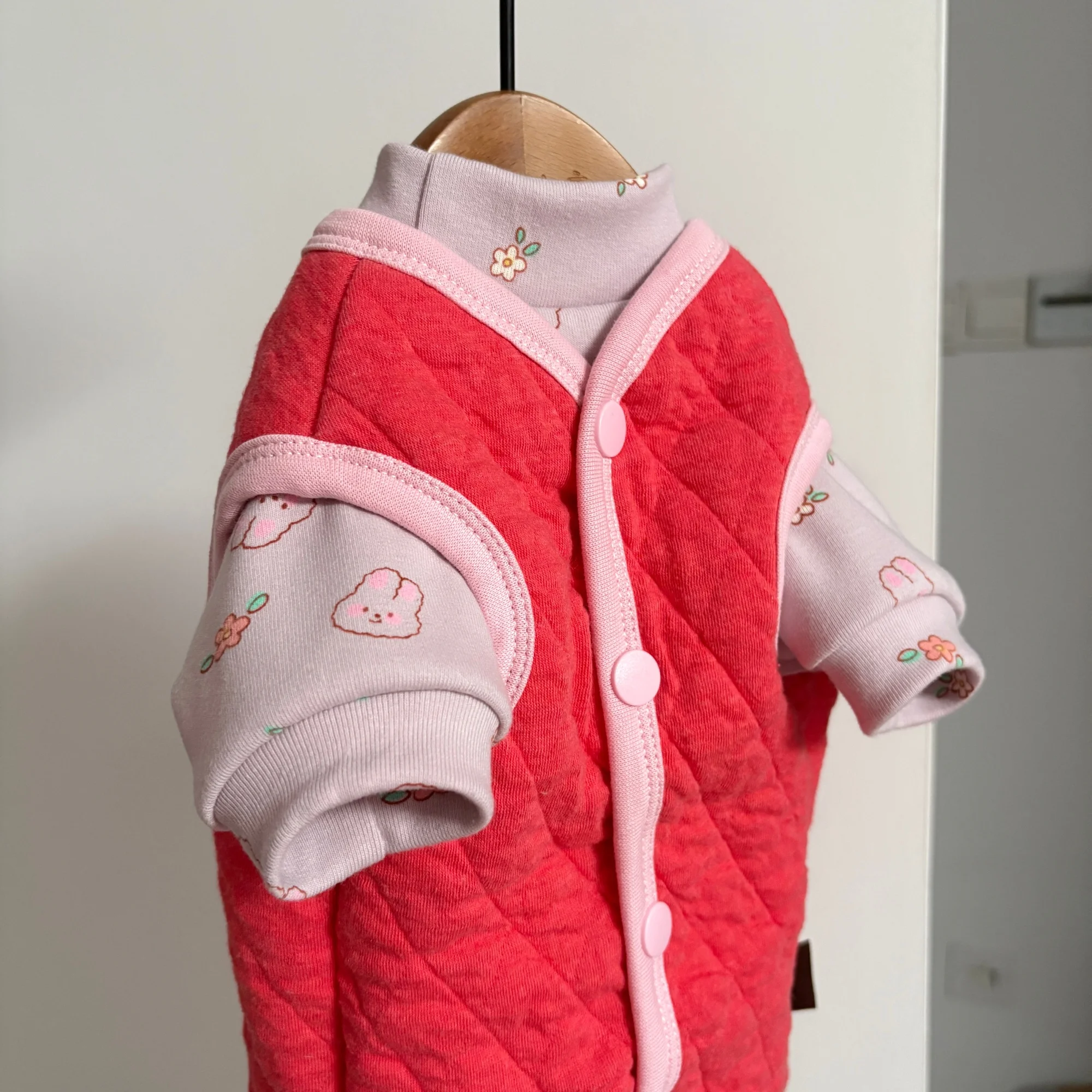 Traje cálido para Devon Rex