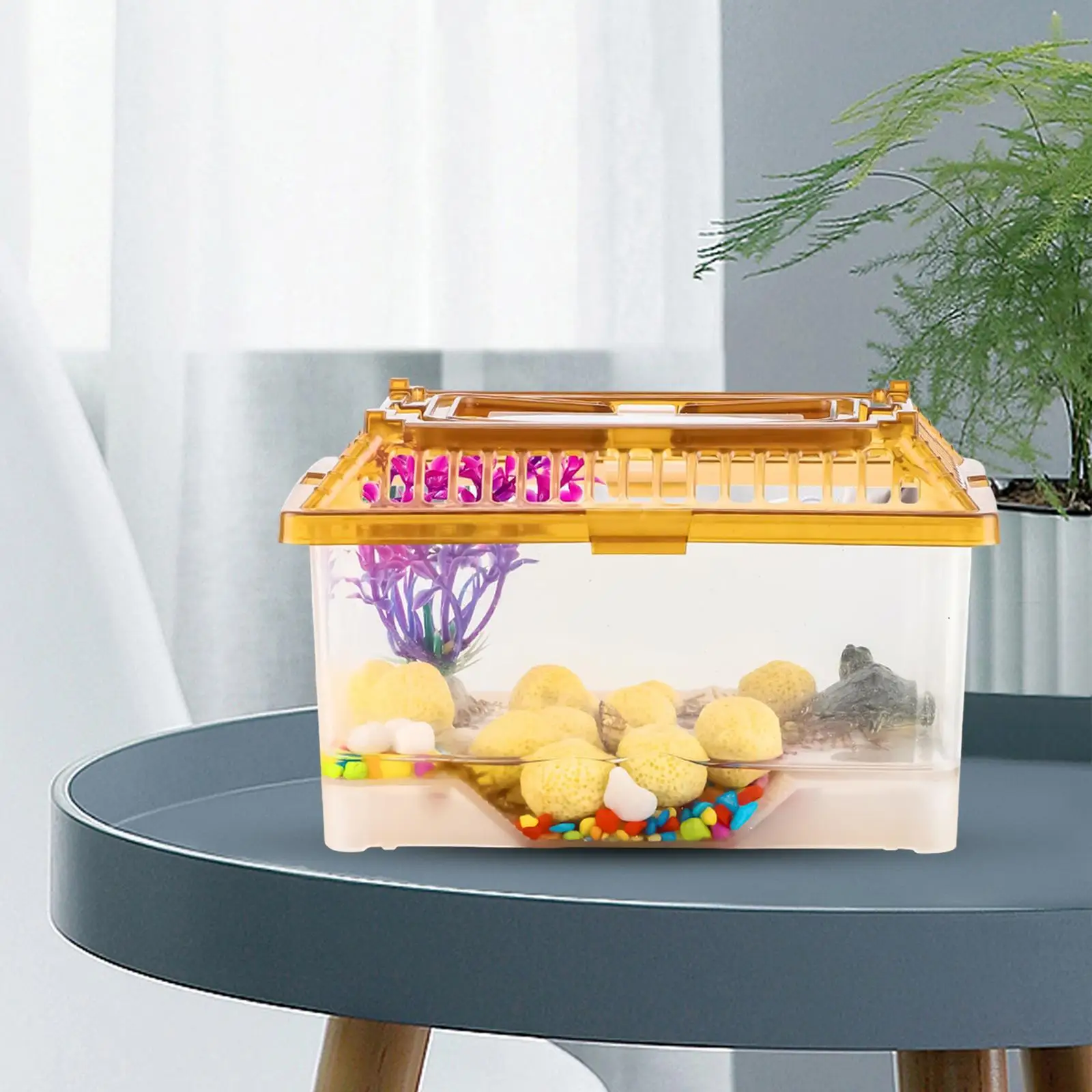 Tanque pequeño para tortugas con terraza, caja de cría de tortugas con cubierta, caja de alimentación para mascotas, pecera pequeña para cangrejos ermitentes - imagen 4