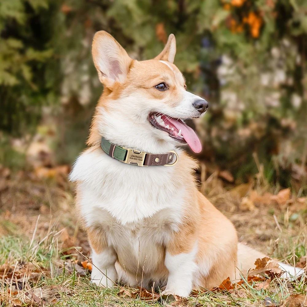 Collar de nailon personalizado para perros, collares de cuero PU para perros, collares personalizados gratis para perros pequeños, medianos y grandes, Pug duradero - imagen 5