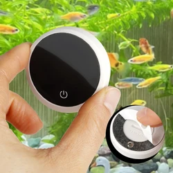 Termómetro para acuario con pantalla LED
