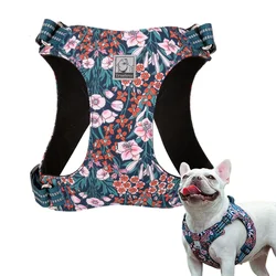 Arnés reflectante acolchado para perros - tallas S a XL, cómodo