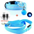 Blue USB Set