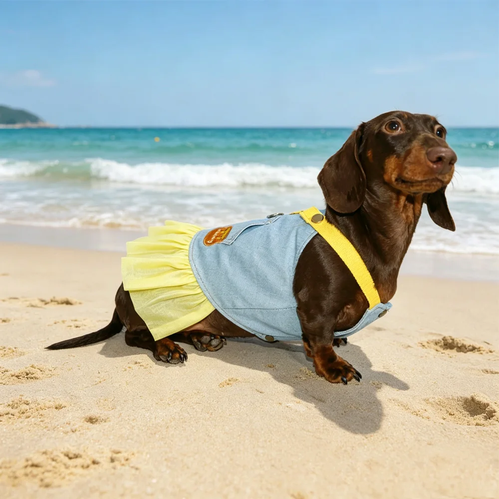 Vestido azul verano con encaje amarillo para perras pequeñas y medianas - imagen 4