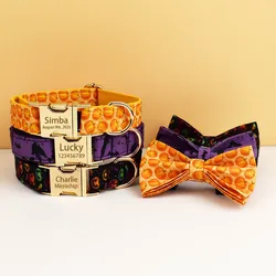 Collar para perros con placa grabada y correa – Ajustable para todas tallas