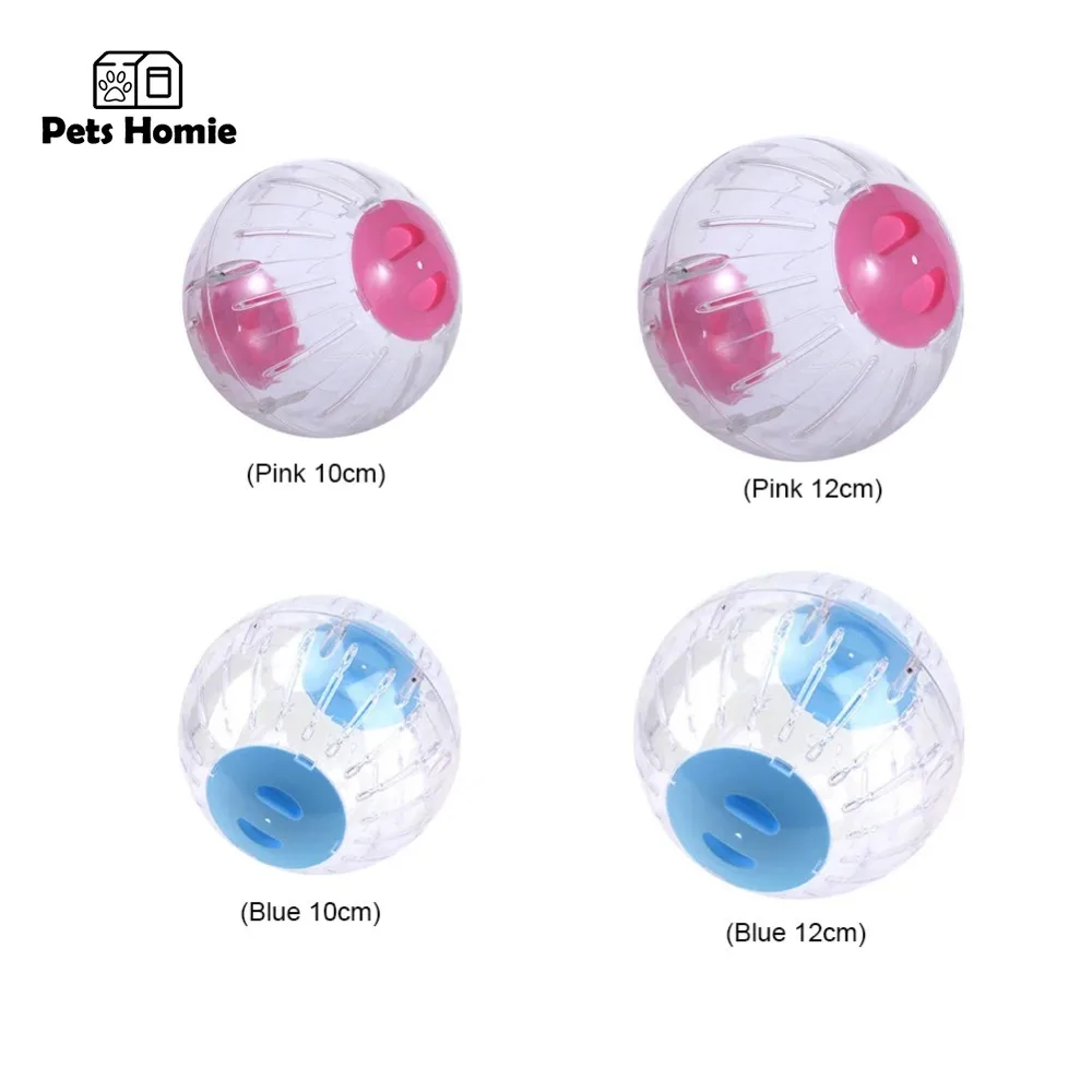 Pelota deportiva para hámster, accesorio de juguete para hacer ejercicio, trotar, correr, rata, roedores, mascotas pequeñas, 10/12cm - imagen 4