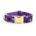 Collar purple
