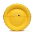 22cm Frisbee