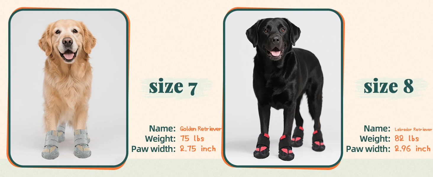 Patas protegidas en verano