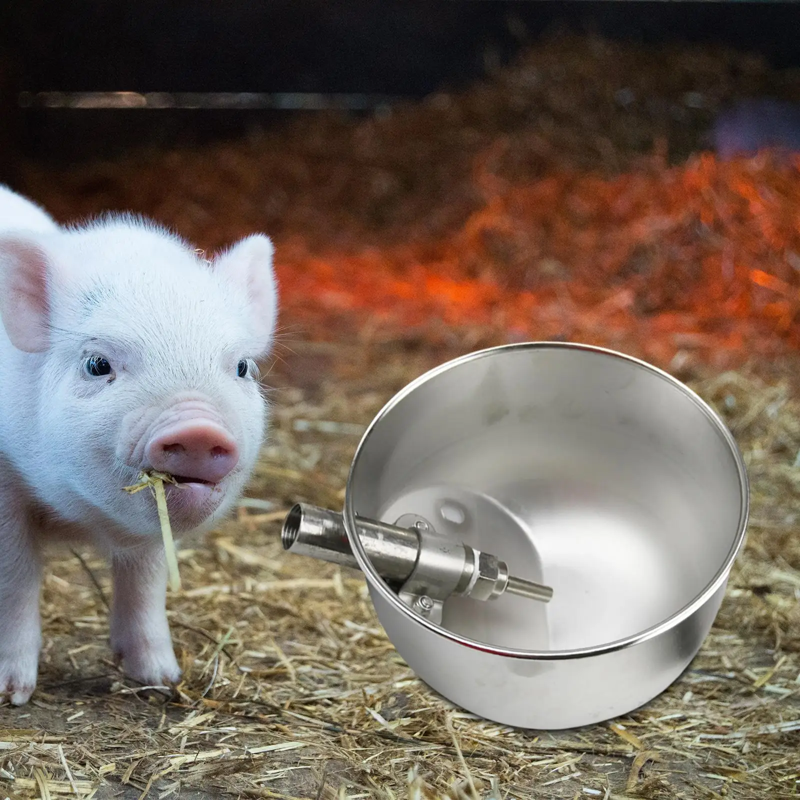 Automatic Pig Drinking Water Bowl Livestock Waterer Bowl Trough Farm Animal Feeder Stainless Steel Feeder for Horse Dog Chicken