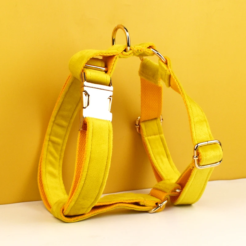 Juego de Collar y correa de terciopelo amarillo para perros pequeños, medianos y grandes, placa de identificación grabada personalizada, suministros para mascotas, correa para perros Velvet04 - imagen 2