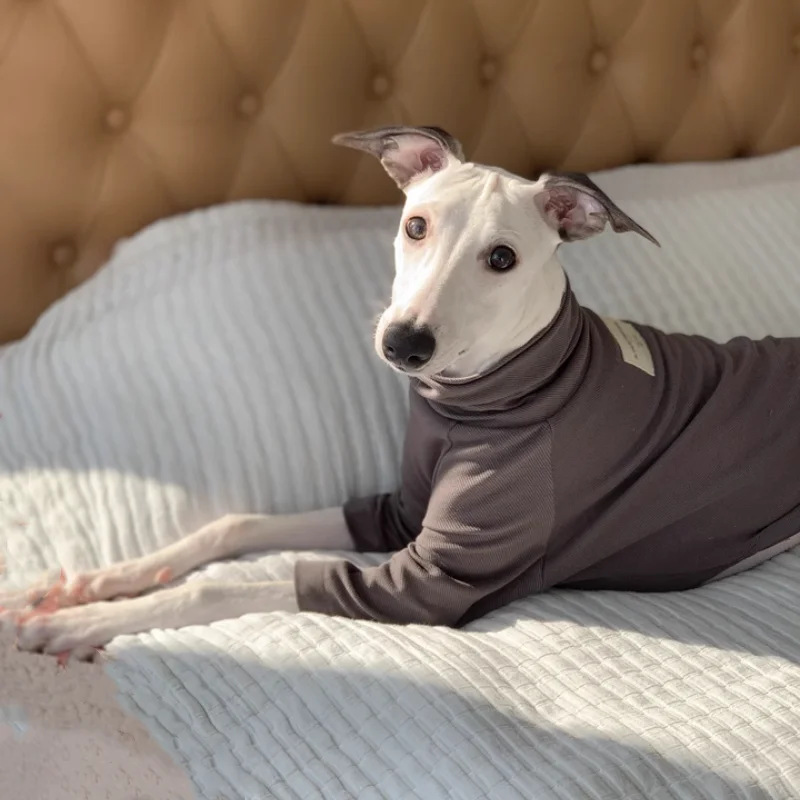 Camiseta rosa de algodón para primavera, abrigo gris suave de manga larga para galgo italiano, ropa para perros Whipbit, ropa de descanso de cuello alto para cachorros - imagen 2