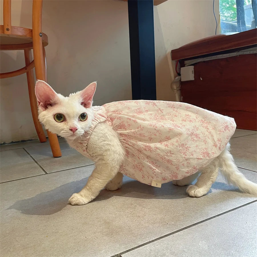 Falda Puffy de Algodón Rosa para Devon Rex, Vestido de Top Sin Mangas Suave y Transpirable para Gato Sin Pelo, Dulce Diadema de Encaje para Gato Sphynx - imagen 5